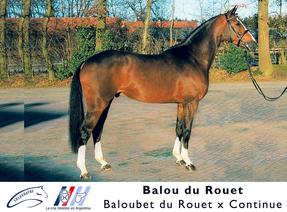 BALOU DU ROUET